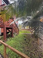 Oasis Paradise Hotel