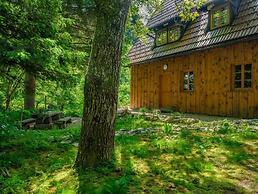 Yeti Cabin