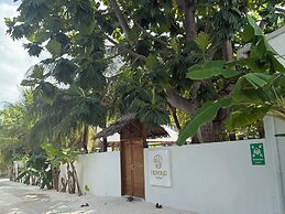 Navaya Dhiffushi
