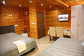 MENTES OTEL