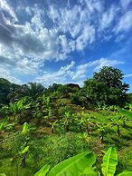Zelandia Eco Finca