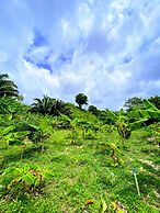Zelandia Eco Finca