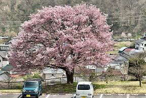 nunobikionsen komoro