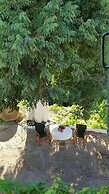 Melia Traditional House