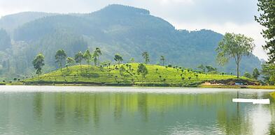 Brookside Nature Resort