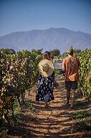 Vibo Wine Lodge