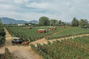 Vibo Wine Lodge