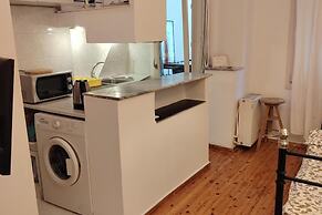 Large Studio/family Apartment