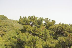Erguvanlı Ev