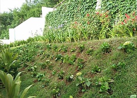 Rock Ooty Heritage Villa