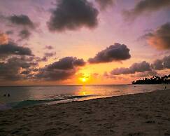 Eagle Stays Aruba