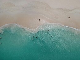 Eagle Stays Aruba