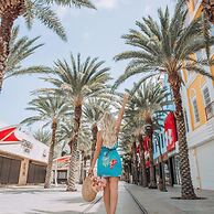 Eagle Stays Aruba