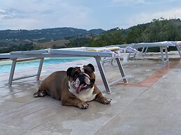 Le Scintille B&B