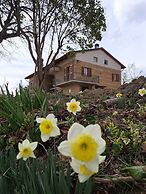 Le Scintille B&B