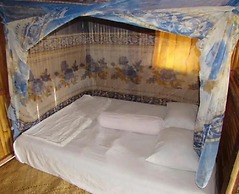 Musa Home Stay