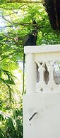 Diani Campsite & Cottages