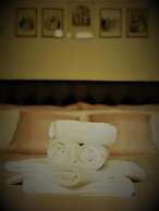 Sofihome