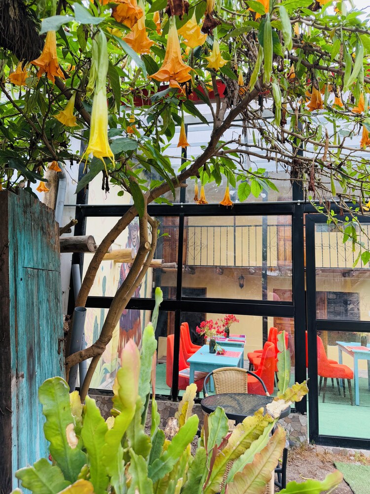 Anido Hotel