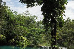 Rumah Hujan