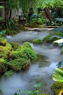LA PLANTE SIEM REAP
