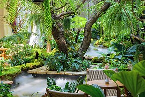 LA PLANTE SIEM REAP
