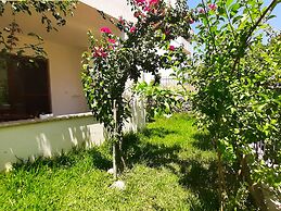 Ertem Homes