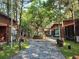 TheRabbithome