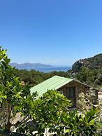 Amos Sea View