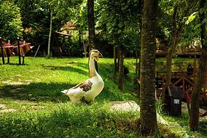 Windmills Resort