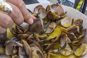 A48 - Windmill 1 Bed Apartment in Odiaxere