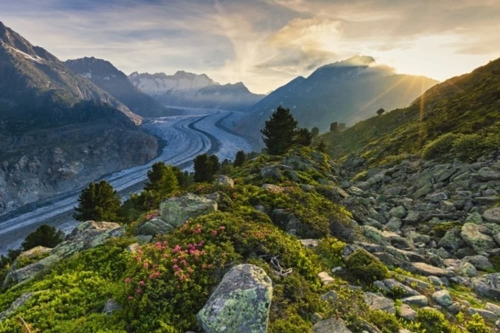 Vieux Valais Beevalais 2