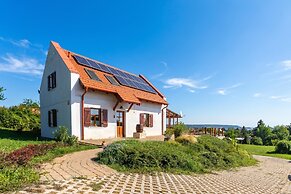 Balaton View From Almadi