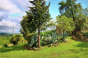 Farmhouse in Castiglione Dorcia