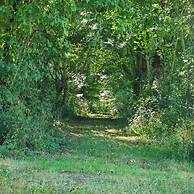 DOMAINE DE LABROUSSE