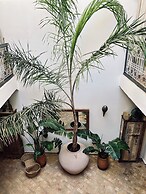 Riad Instant T