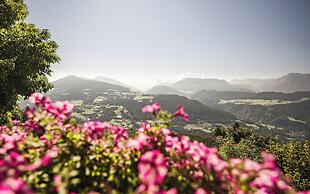 Boutique Hotel Erlacher