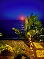Finca Beachfront Tree house