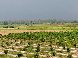 Aranya Bithi