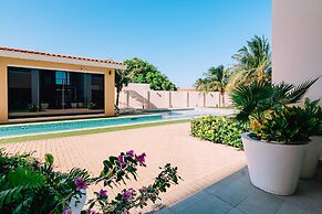 Aruba's Life 302
