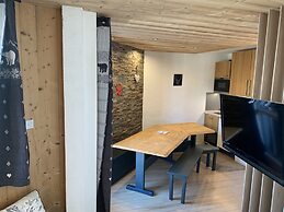Modern Alpine Apartment
