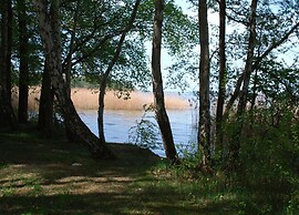 Ferienhaus im Ferienpark Mueritz
