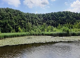 Ferienhaus mit Sauna im Ferienpark Mirow