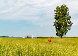 Ferienhaus im Skandinavischen Stil