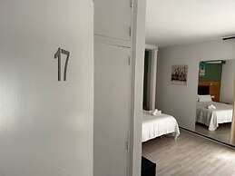 Nou Roser