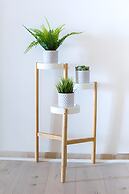 Mar Studio in Meta