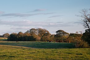 THE  HIDE