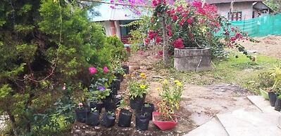 Kinglayang Homestay