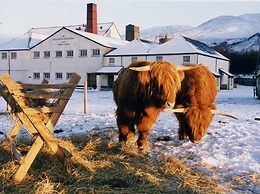 Toradh Cabin