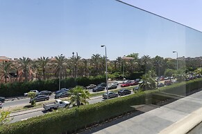 Rivera  Silver Palm